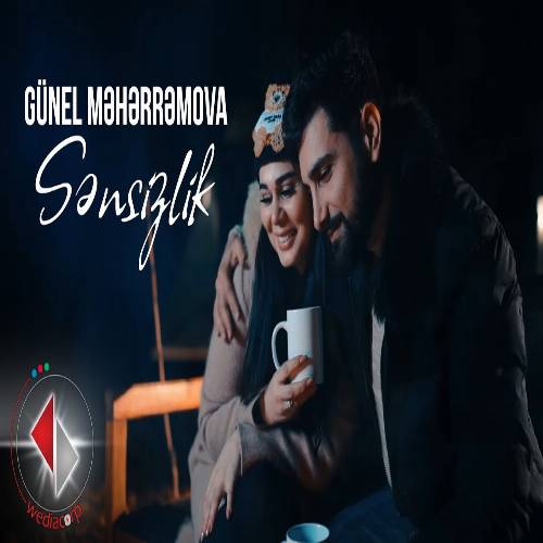 دانلود آهنگ گونل محرموا - سنسیزلیک ینه حکم ادیر گجلری یاتا بیلمیرم